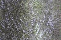 Bibury fibreglass roof work